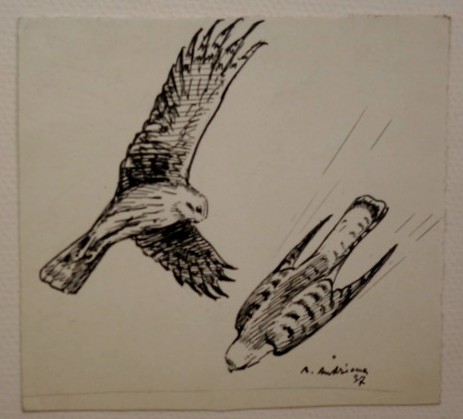 6 Dessins "RAPACES" par Alfred ANDRIEUX vers 1930/35-photo-1