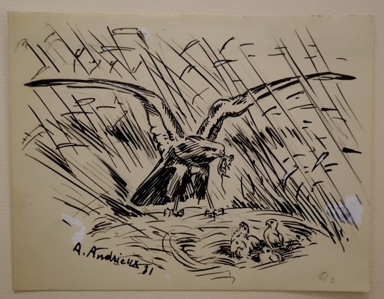 6 Dessins "RAPACES" par Alfred ANDRIEUX vers 1930/35-photo-3