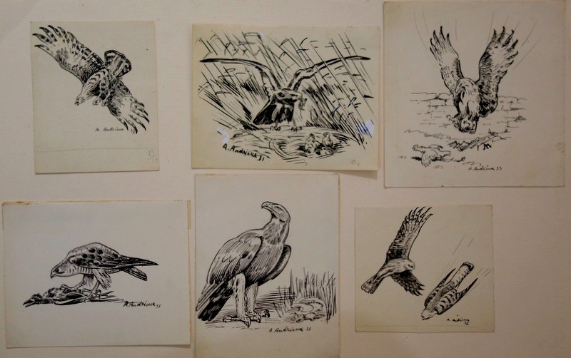 6 Dessins "RAPACES" par Alfred ANDRIEUX vers 1930/35