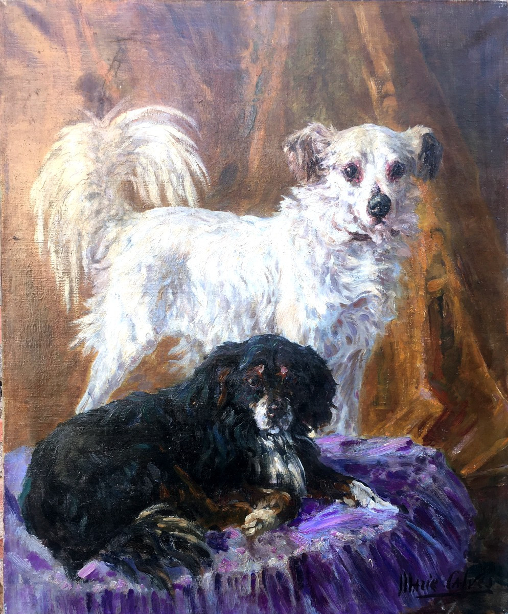 "CHIENS de COMPAGNIE" par Marie CALVES vers 1920