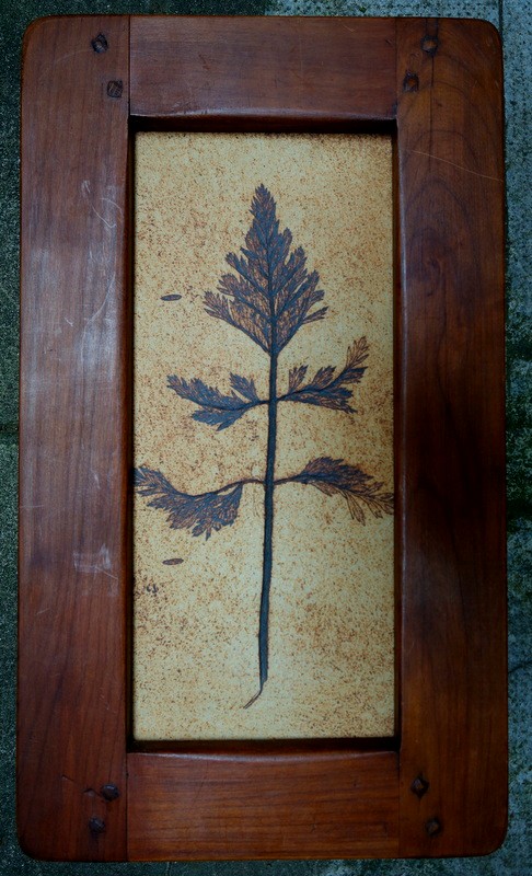 "large Plate "herbier" "by Raymonde Leduc