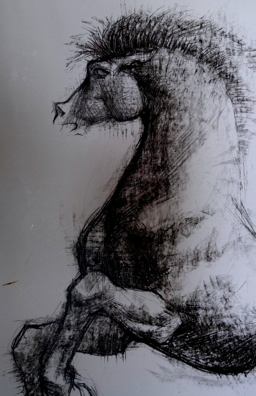 "CHEVAL " Dessin par Robert PAGES vers 1960-photo-2