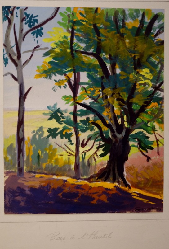 "trees" At l'Hautil And St Germain By G.genot ..1954/55-photo-4