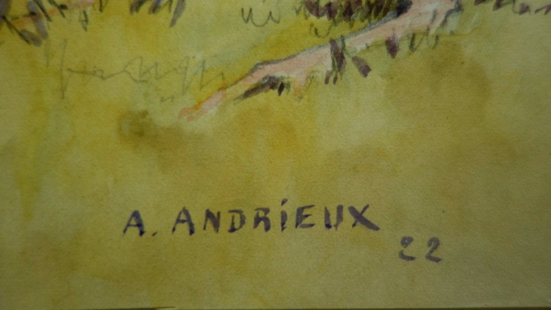 "wounded Grey Heron" Watercolor By A. Andrieux, 1922-photo-4