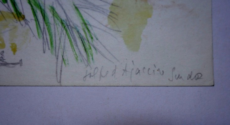 "Le GOLFE d'AJACCIO" par Charles CACHIN ...CORSE-photo-1