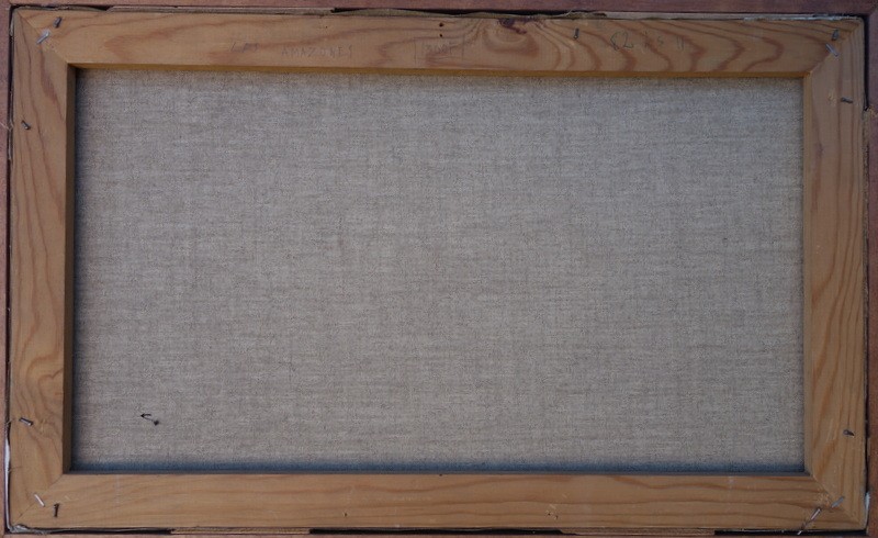 "the Amazons" By Antoine Ribet ...1973-photo-2