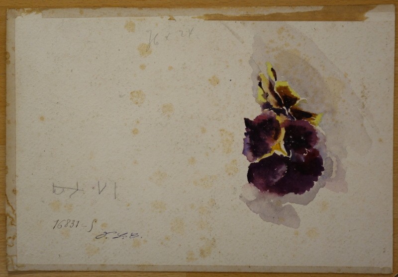 La ROSE et la LETTRE" Aquarelle de Blanche ODIN-photo-4