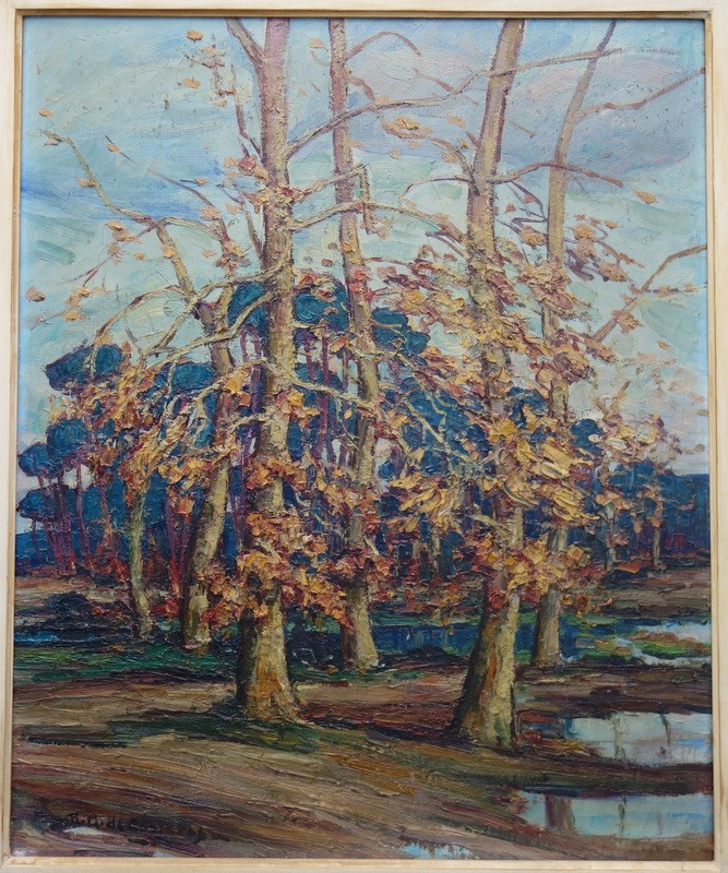 "MARAIS des LANDES" par R.GOUGET de CASTERAS -photo-2