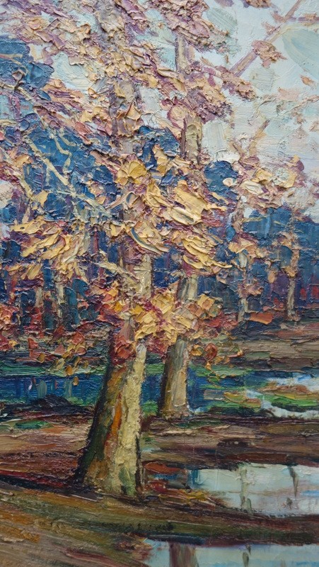 "MARAIS des LANDES" par R.GOUGET de CASTERAS -photo-1