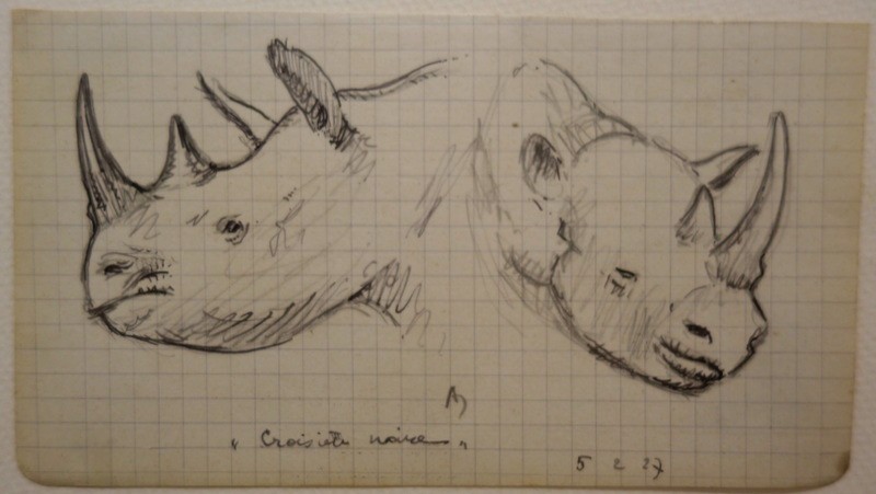 4 Drawings "rhinoceros,elephant" By Alfred Andrieux 1927-photo-2