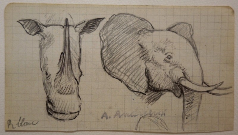 4 Drawings "rhinoceros,elephant" By Alfred Andrieux 1927-photo-3