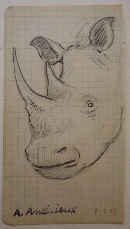 4 Drawings "rhinoceros,elephant" By Alfred Andrieux 1927-photo-4