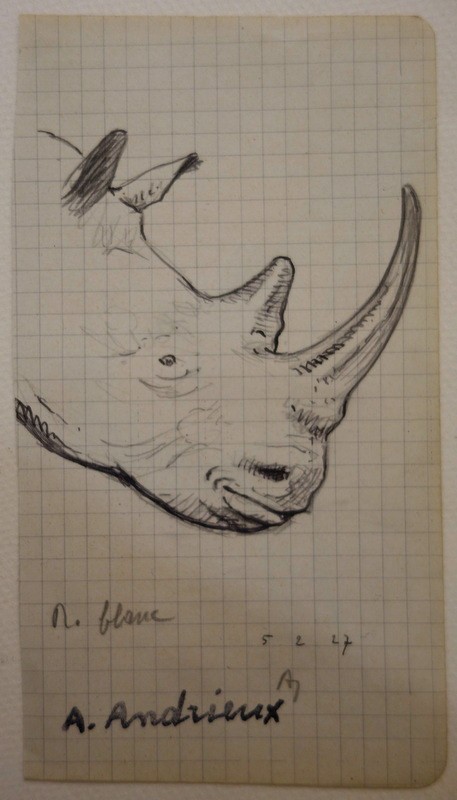 4 Drawings "rhinoceros,elephant" By Alfred Andrieux 1927-photo-1