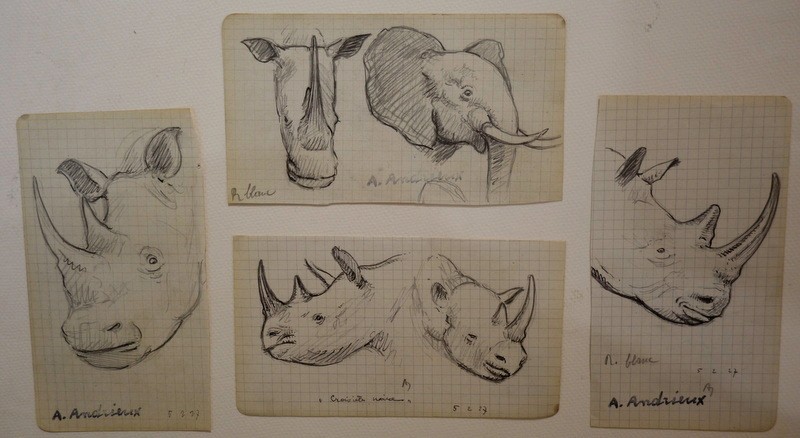 4 Drawings "rhinoceros,elephant" By Alfred Andrieux 1927