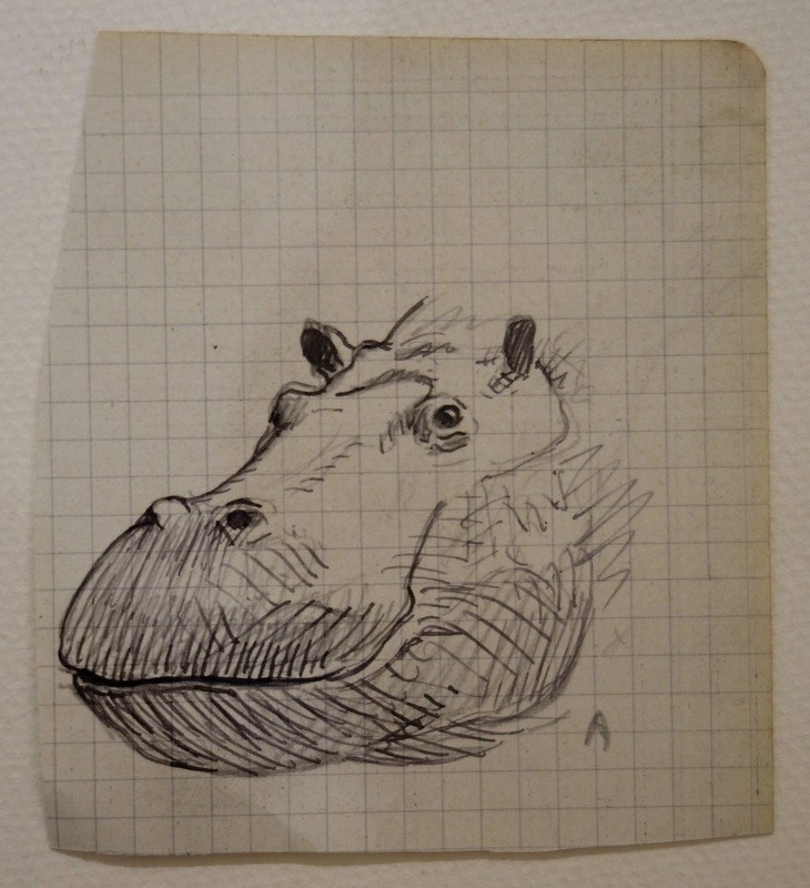 "FELINS et Tete d'HIPPOPOTAME" Dessins d'Alfred ANDRIEUX vers 1920-photo-2