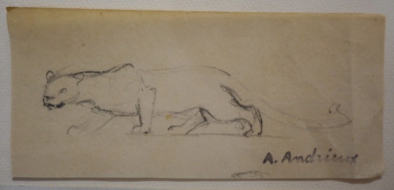 "FELINS et Tete d'HIPPOPOTAME" Dessins d'Alfred ANDRIEUX vers 1920-photo-3