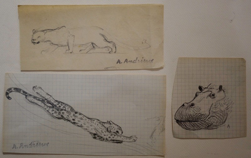 "FELINS et Tete d'HIPPOPOTAME" Dessins d'Alfred ANDRIEUX vers 1920