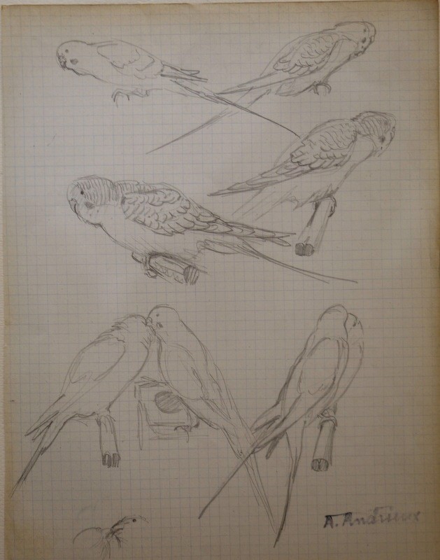 Drawings Of Alfred Andrieux -photo-2
