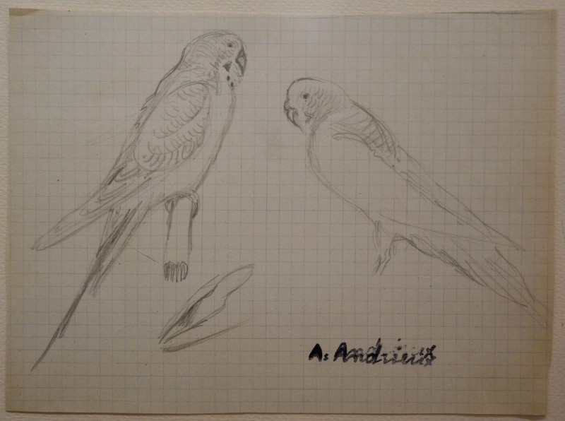 Drawings Of Alfred Andrieux -photo-3