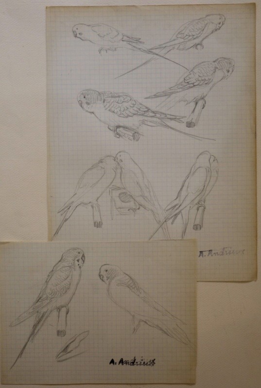 Drawings Of Alfred Andrieux 