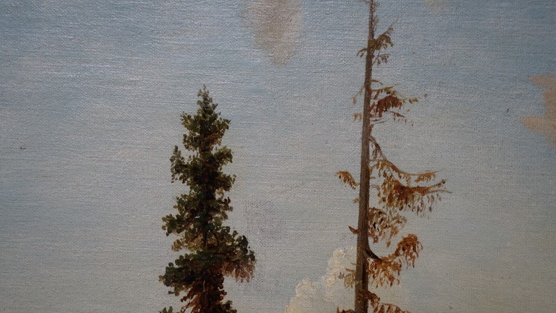 "PAYSAGE ALPESTRE " vers 1850/70......Allemagne, Suisse (?)-photo-4