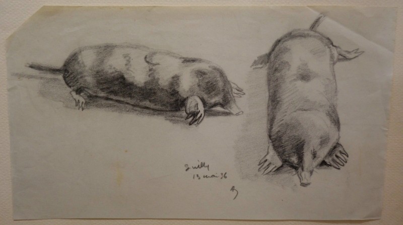 "TAUPES" dessin par Alfred  ANDRIEUX ...Guilly  1936