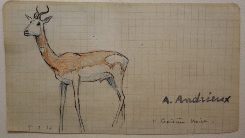 "antilope Springbok" Alfred Andrieux ..1917