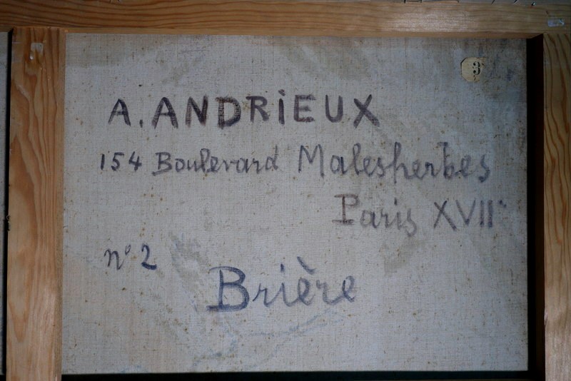 "VOL d'OIES  en Briére "par Alfred ANDRIEUX vers 1930-photo-3