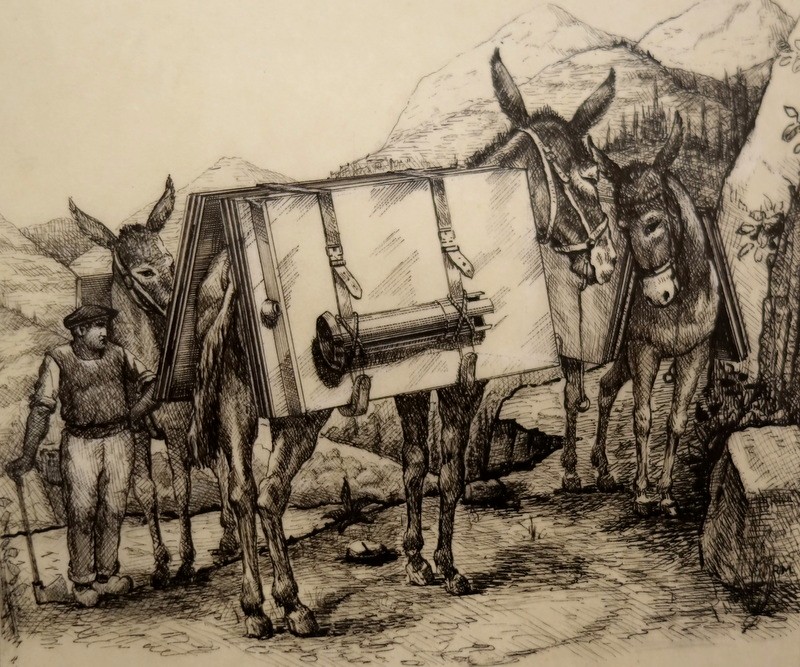 "TRANSPORT par ANES en MONTAGNE" Encre de Chine vers 1900/1920