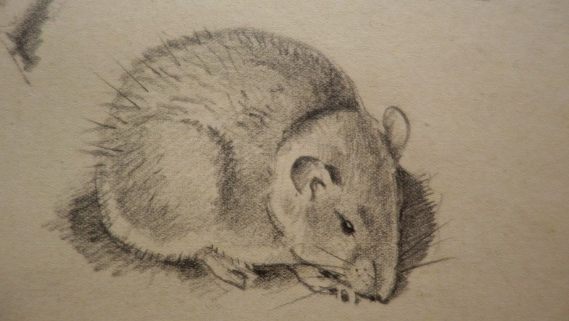 "mouses" By Alffred Andrieux ..1920-photo-2