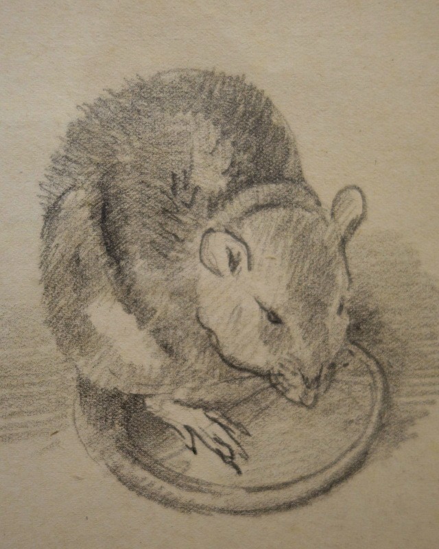 "mouses" By Alffred Andrieux ..1920-photo-3