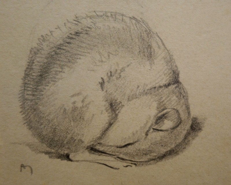 "mouses" By Alffred Andrieux ..1920-photo-4