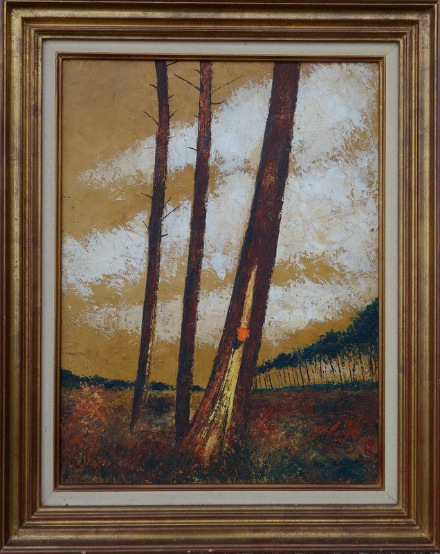 "PINS des LANDES" par L .FAUQUE..GEMMAGE ...vers 1970