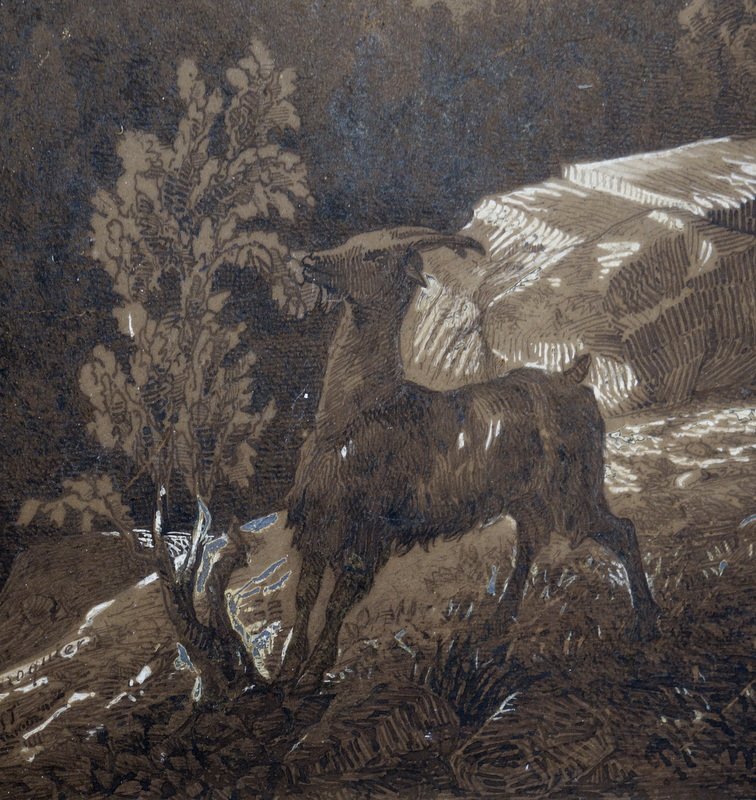 "Le PATRE et sa CHEVRE" par G de WAROQUIER ...1855-photo-3