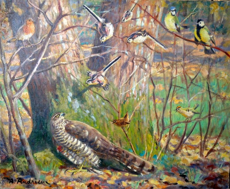 "the Wing-clipped Sparrowhawk" By Alfred Andrieux, Circa 1930