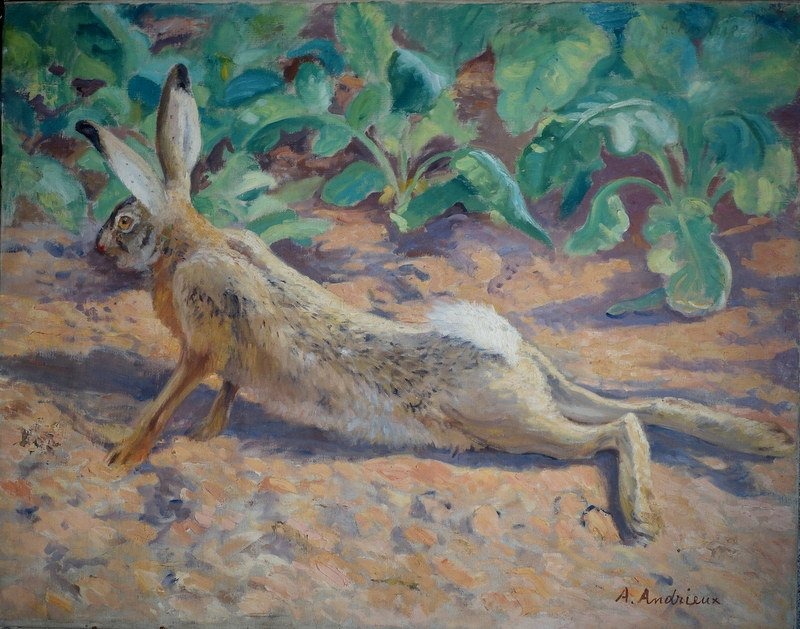 "LIEVRE BLESSE" par Alfred ANDRIEUX vers 1930