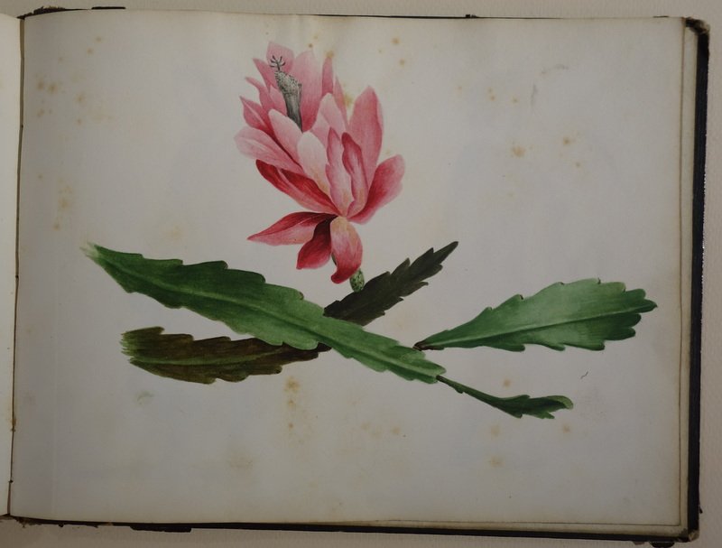  Sketchbook (colin) And Engravings (deveria), 37 Sheets, Circa 1840-photo-8