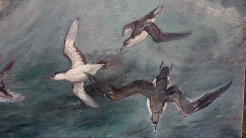 "MOUETTES en PLEINE MER "par Alfred ANDRIEUX vers 1930-photo-2