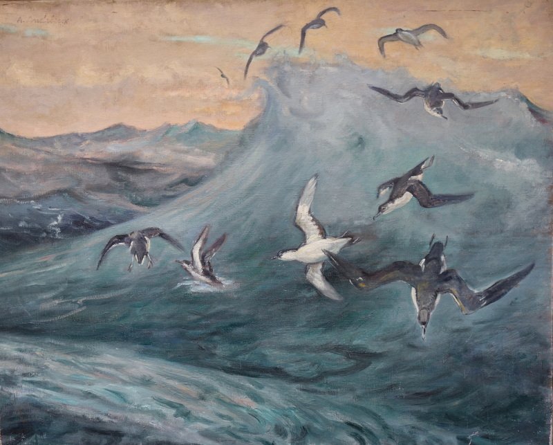 "MOUETTES en PLEINE MER "par Alfred ANDRIEUX vers 1930