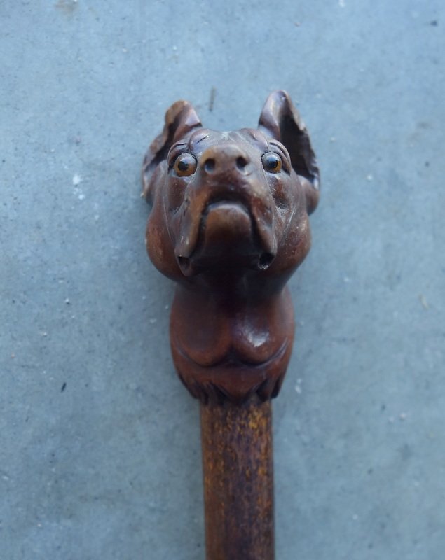 " TETE de CHIEN " Pommeau de Canne en bois sculpté vers 1900-photo-3