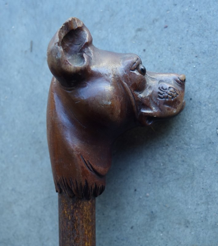 " TETE de CHIEN " Pommeau de Canne en bois sculpté vers 1900-photo-4