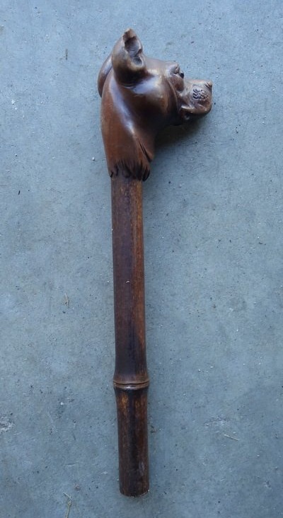 " TETE de CHIEN " Pommeau de Canne en bois sculpté vers 1900-photo-2