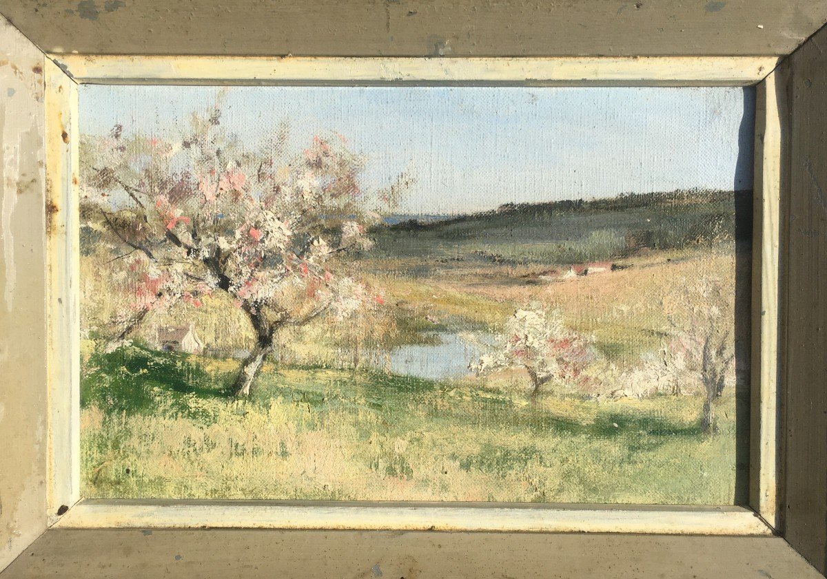 "Pommiers en Fleurs" par J.A.CLAIRE, Normandie, ORNE,1930