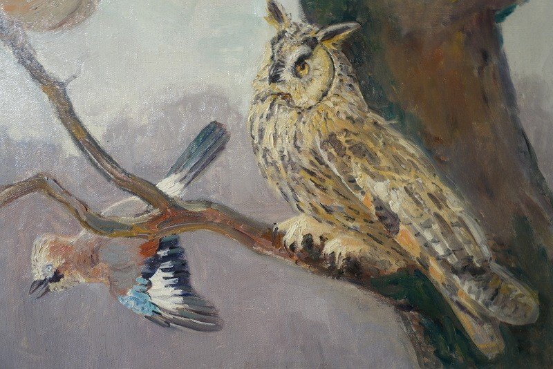 "jays, Owl And Pie" By Alfred Andrieux Around 1930-photo-3