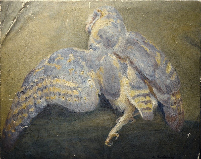 "dead Owl" By Alfred Andrieux Around 1920