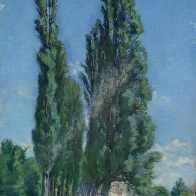 Premiere-Image-1790950