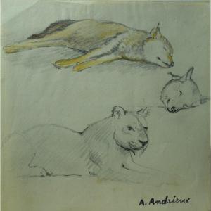 "lionne And Wolf" By Alfred Andrieux Around 1920