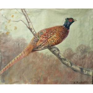 "connected Pheasant" By Alfred Andrieux Around 1930/35