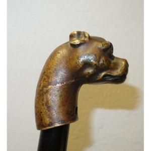 "TETE de BOXER" Pommeau de Canne en Bronze vers 1900