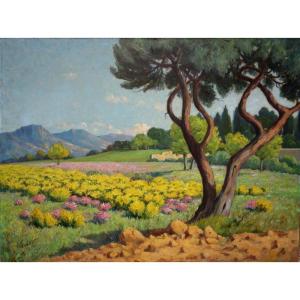 “landscape Of Provence” By A.bonnot ...193?